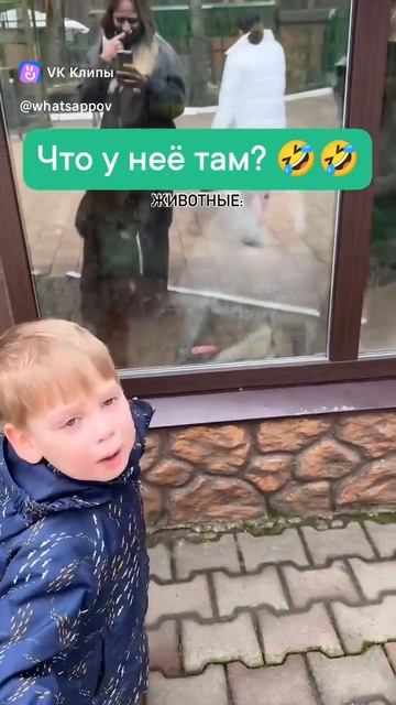 Что у неё там? 🤣🤣🤣🤯 Ребёнок спрашивает у мамы про обезьянку