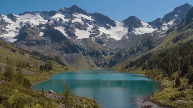 11 января день заповедников и национальных парков. смотреть онлайн