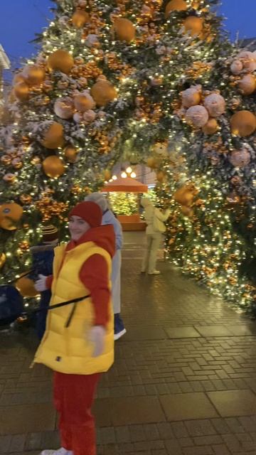 Поездка в Москву, день в Москве #новогоднеевидео #украшениянановыйгод  #деревенскаяжизнь #новыйгод
