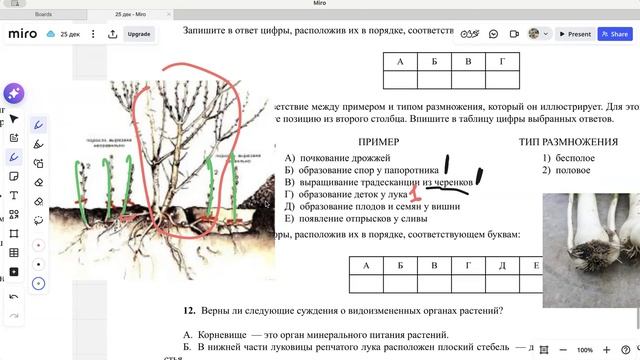 2 вариант РЕШУОГЭ 2025 года