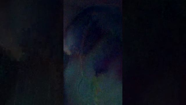 рисуй мультики смотреть онлайн