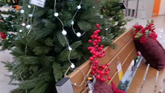 #красота в оби в Брянске смотреть онлайн