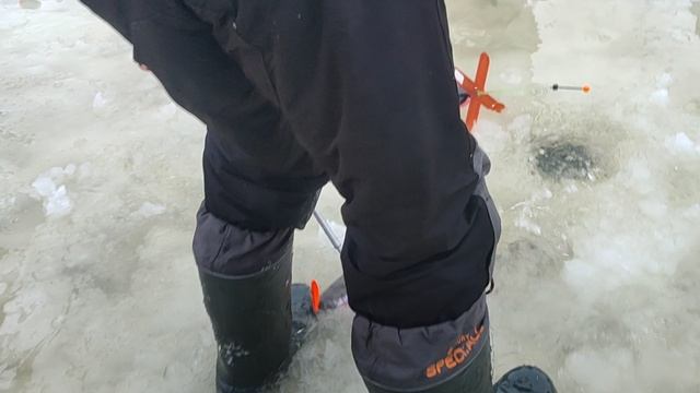 Основной водоём. Котлета. смотреть онлайн