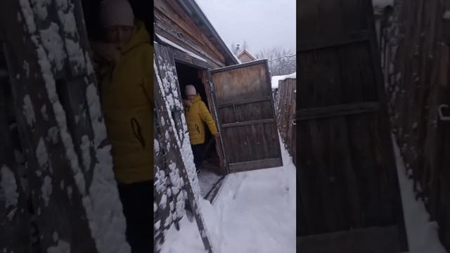 27-12-2025 Приятного аппетита😋 смотреть онлайн