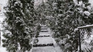 Зимняя зарисовка от Александра Домогарова , просто красивая сказка и потрясающий голос за кадром