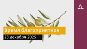 28 декабря 2025. Время благоприятное. Под сенью благодати.