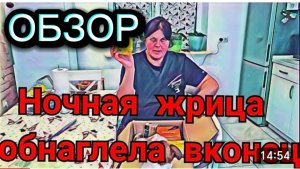 САМВЕЛ АДАМЯН, ОТ НЫТЬЯ К УГРОЗАМ, НИКОЛЕТТА ТРЕБУЕТ ПОДАРКИ, НА ИГРЕНИ ИГРА В УГАДАЙКУ..