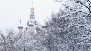 Ранняя Божественная Литургия. Неделя 29-я по Пятидесятнице, святых праотец