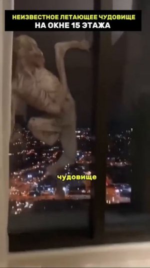 что ты такое