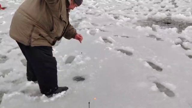 Жёлтый сыр смотреть онлайн