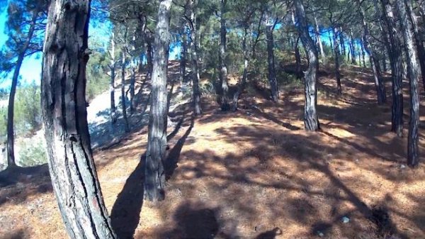 Геленджик. 3 день. РИО. HENGJIAN Z300 2T