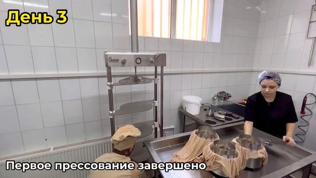 Курсы сыроделия Чечулина Павла Ивановича | Рецепт сыр? смотреть онлайн