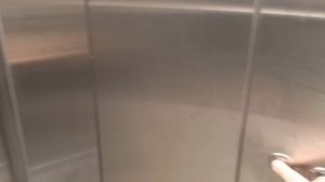 Пассажирские лифты (Деревня Птичное), V=1 м-с, г-п 400, 450, 1000 кг, музыкальные лифты ЩЛЗ