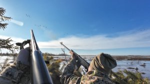 ОХОТА НА ГУСЯ ВЕСНОЙ. ВЫСТРЕЛЫ ПО ПЕРВЫМ СТАЯМ. ГУСЬ ПОШЕЛ НА СЕВЕР.