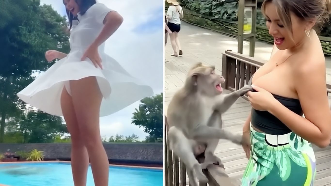 Попробуй не рассмеяться 🤣 Топ-100 смешных миксов и самых смешных мемов смотреть онлайн