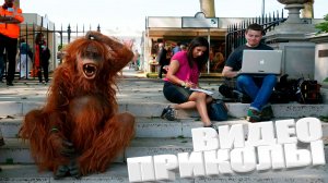 ЛУЧШИЕ ПРИКОЛЫ 2025 | ПРИКОЛЫ 2025 | СВЕЖИЕ ПРИКОЛЫ 2025 | РЖУ НЕ МОГУ |