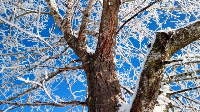 ВЛАД МАЛЕНКО
Для чего человек?
Я спросил своего визави.
Стопка книг до небес
возвышалась в моей один смотреть онлайн