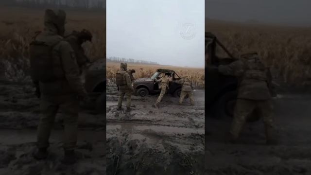 Долгожданная встреча с женой/ Мать встретилась с сыном,участником сво/ Наши ребята на передовой. смотреть онлайн