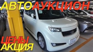 ЯПОНСКИЙ ХЛАМ ПОСЛЕДНИЙ АУКЦИОН 2025 _ TOYOTA Bb RACTIS PROBOX HONDA FREED DAIHATSU MIRA COCOA