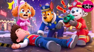 Щенячий патруль и Маршалл. Залипательное видео. Мультфильм для детей и малышей. Анимация 25