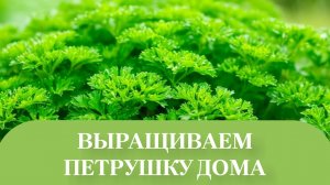 ПРАВИЛЬНОЯ ПОСАДКА.ПО СОВЕТАМ СПЕЦИАЛИСТОВ