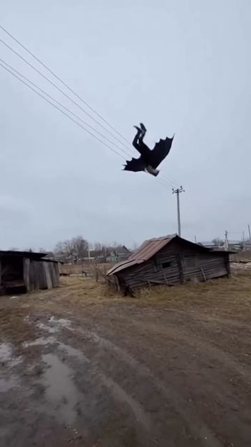 Сага о деде изобретателе... смотреть онлайн