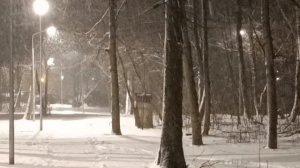 Снегопад. Лесной бульвар
