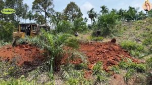 Строительство, горная дорога, расчистка , обзор