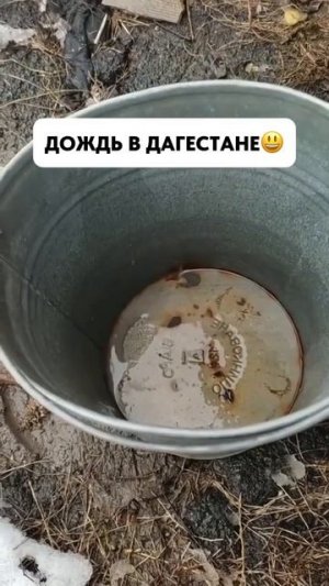 Звуки природы😂