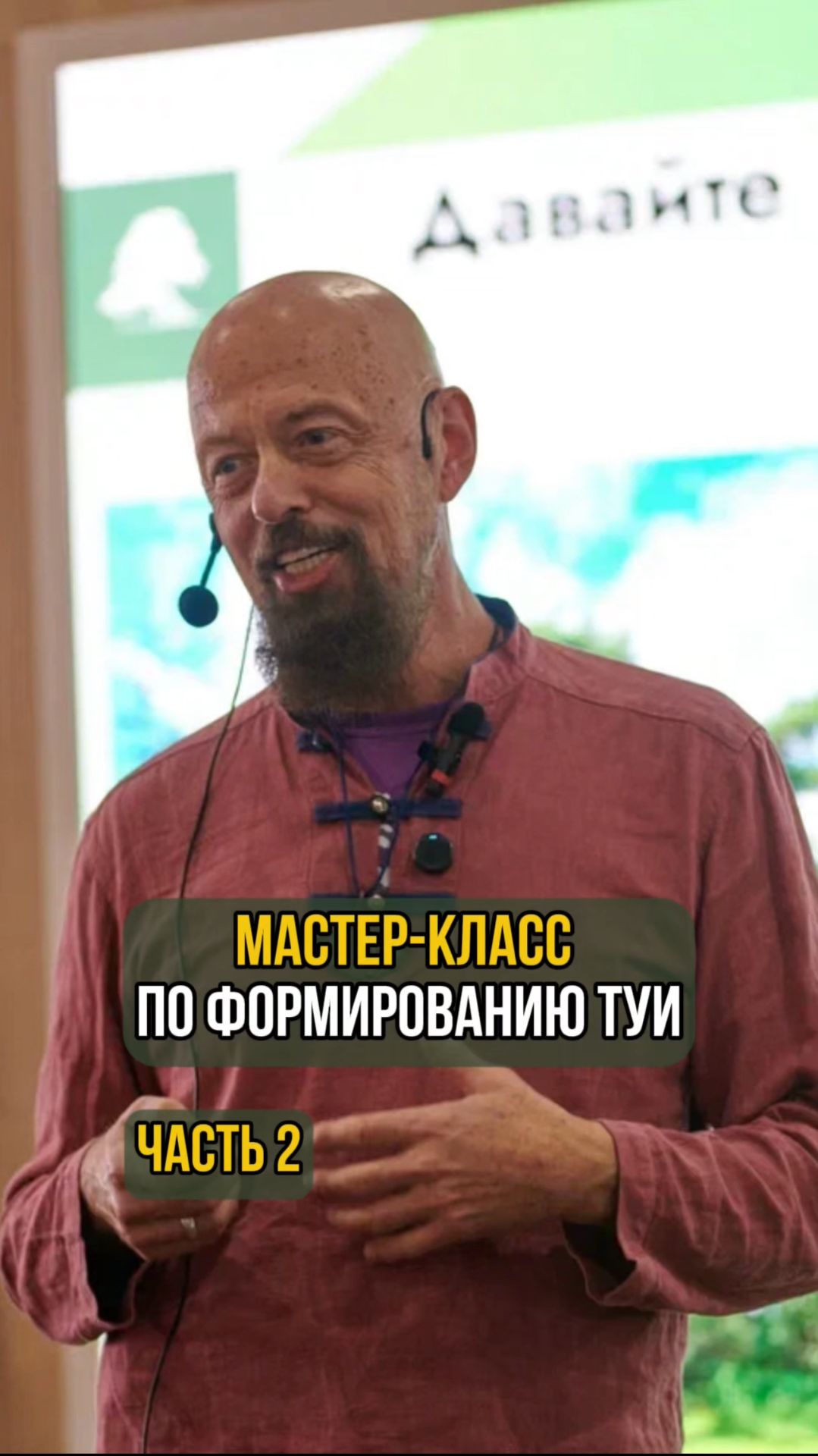 Мастер-класс по формированию туи. Часть 2 смотреть онлайн