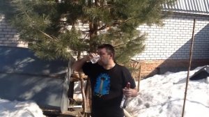 Стакан водки