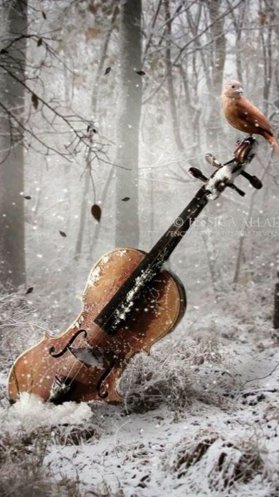 Блюз зимнего ветра