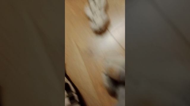 Roblox смотреть онлайн