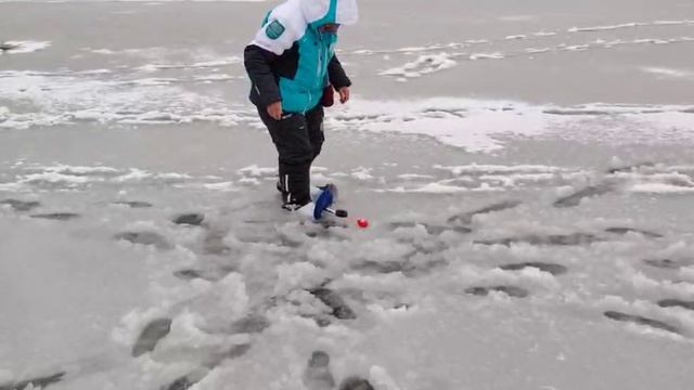 Поимка Форели смотреть онлайн