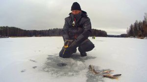НАШЁЛ КЛЁВУЮ ЛУНКУ. Рыбалка на БЛЕСНУ по первому льду.