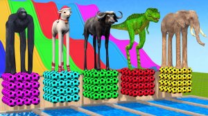 Веселые игры с слоном, гориллой, бегемотом, тигром - 3D игра с животными - Забавные 3D животные