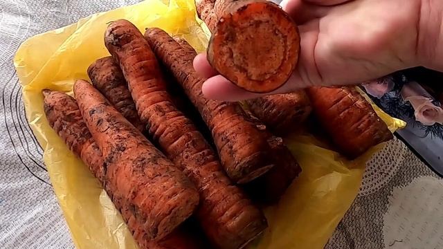 О хранении овощей смотреть онлайн