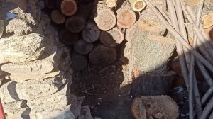 10-12 февраля 2025г.Мой дом. Расселила квартирантов из коммуналки