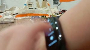 мадагаскарский таракан часть 2