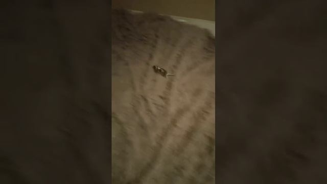 АААА смотреть онлайн