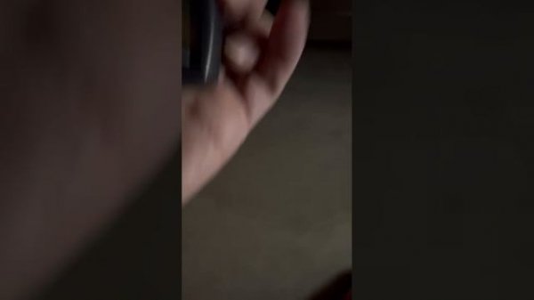 слой краски 3gt