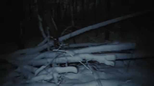 ПОЙМАЛИ И ЗАСТРЕЛИЛИ МАНЬЯКА В ЛЕСУ. ЗАГНАЛИ ЕГО В ЛОВУШКУ смотреть онлайн