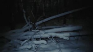 ПОЙМАЛИ И ЗАСТРЕЛИЛИ МАНЬЯКА В ЛЕСУ. ЗАГНАЛИ ЕГО В ЛОВУШКУ