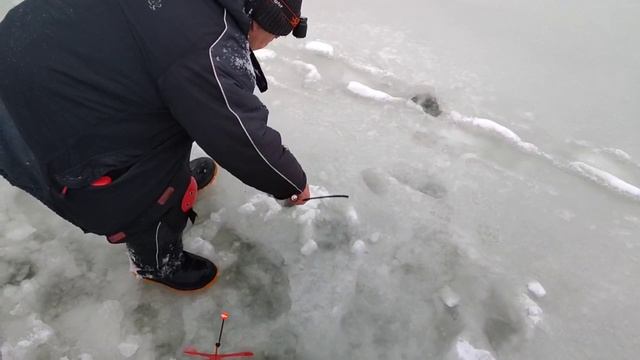 Основной водоём.Форель смотреть онлайн