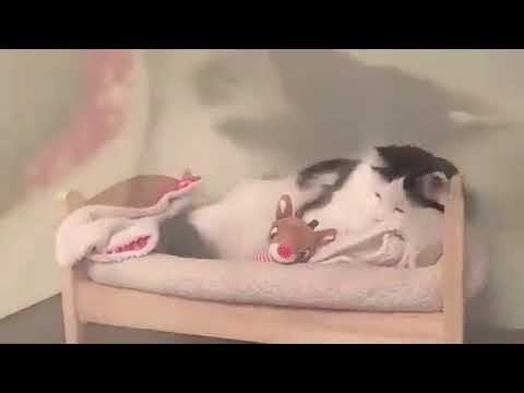 Спокойной ночи малыши! смотреть онлайн