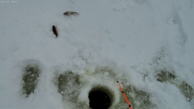 Первый выезд на зимнюю рыбалку смотреть онлайн