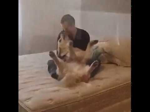 Обнимашки! смотреть онлайн