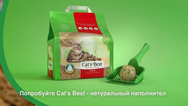 CatsBest Original