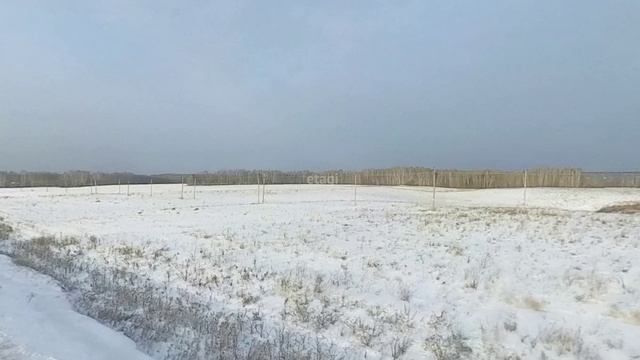 10302898, д. Насекино смотреть онлайн