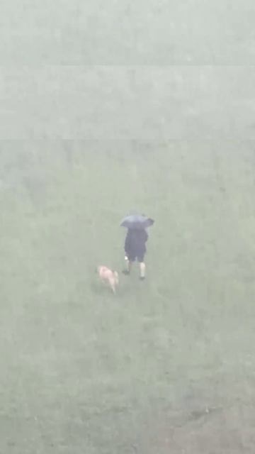 У природы нет плохой погоды смотреть онлайн